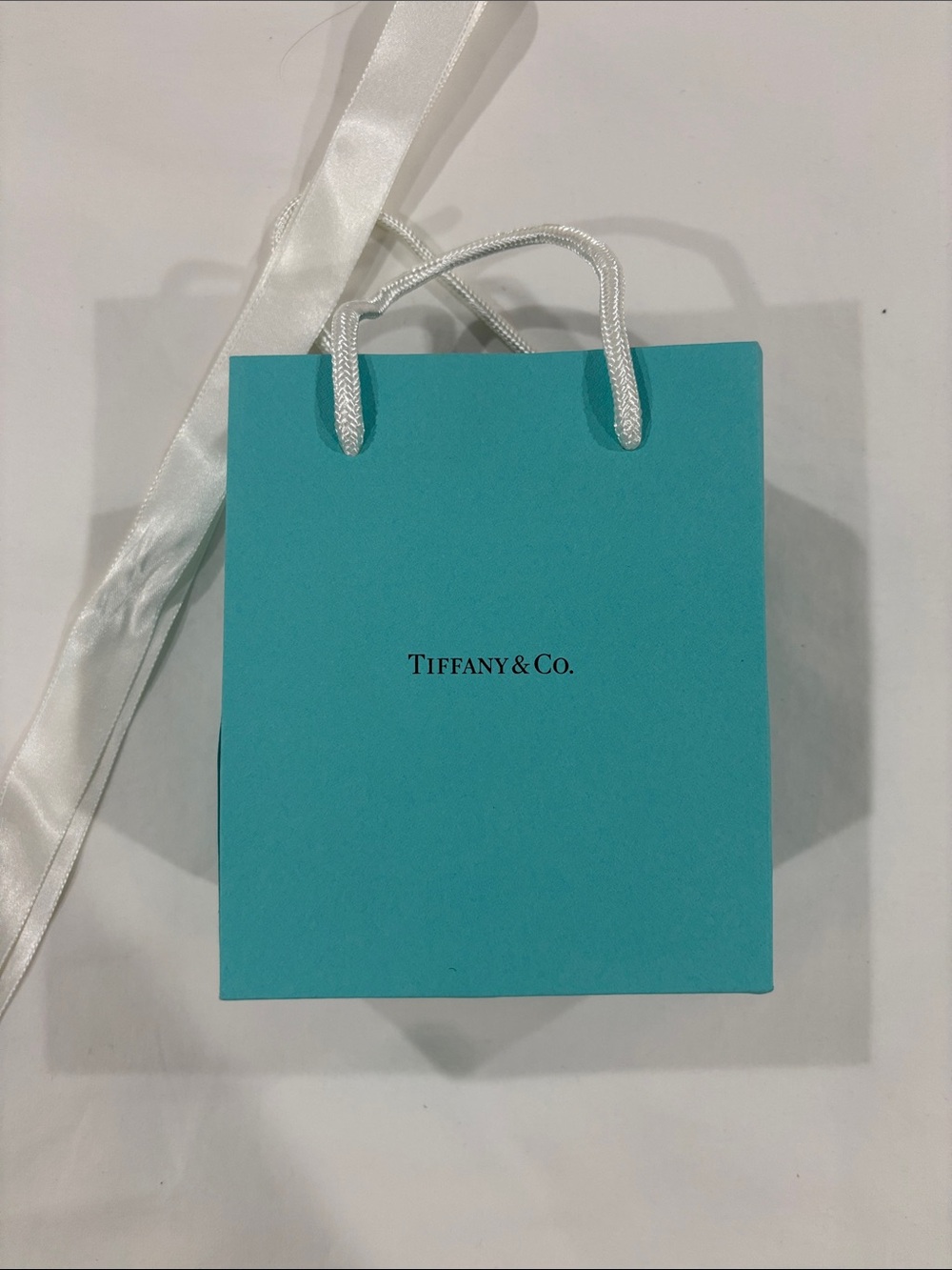 Tiffany & Co. Gift Bag
